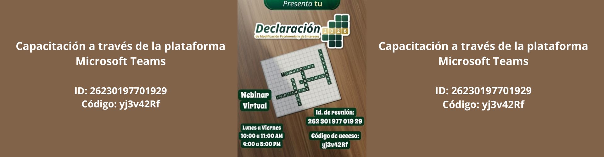 Declaración Patrimonial